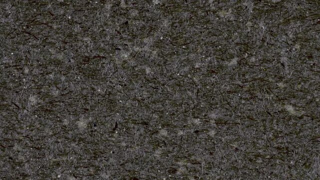 Dark Torn Cardboard Texture Transition with Subtle Paper Flicker and Fibrous Grain