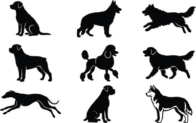  Dog breeds black silhouette vector icon set featuring poodle german shepherd labrador rottweiler and husky isolated on white background © Partho