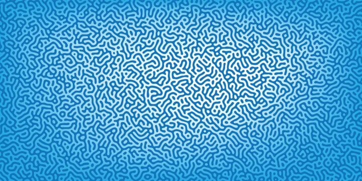 Modern minimalist layout with complex organic rounded maze line pattern over soft blue gradient backdrop, graphic illustration