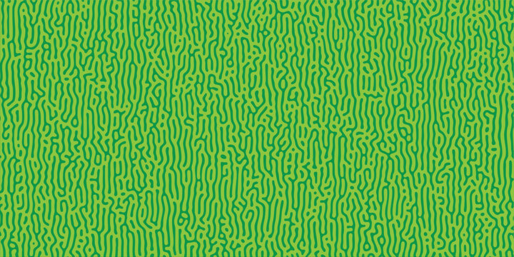 Abstract turing pattern background with bright green reaction diffusion maze texture for biology science presentation backdrop, vector design