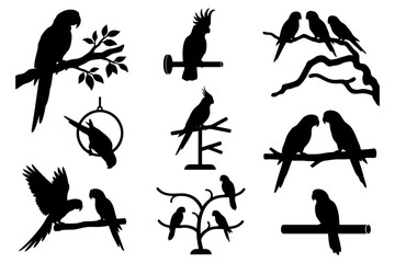 Fototapeta premium Silhouette collection of various parrots on branches and perches.