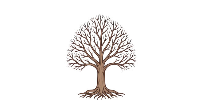 Bare Tree Silhouette Isolated on White Background