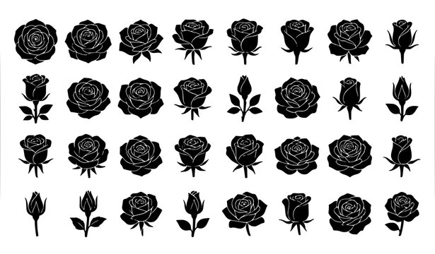Elegant single rose flower silhouette vector illustration isolated on white background for decorative design