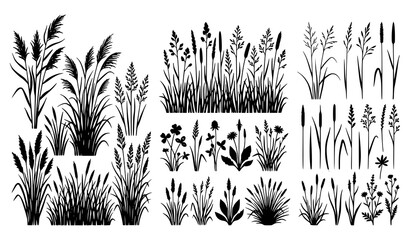 Set of grass silhouettes vector collection with natural meadow and wild field elements © Wahida