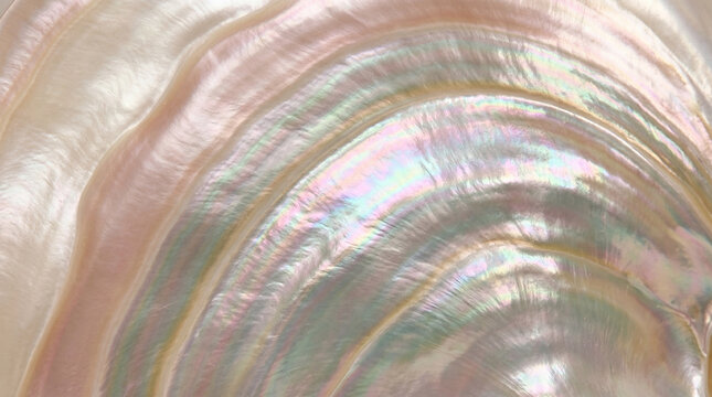 Iridescent mother of pearl shell interior with concentric patterns and soft pastel hues