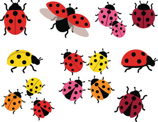 Obraz premium adybug Illustration Set with Various Poses and Cartoon Character Collection