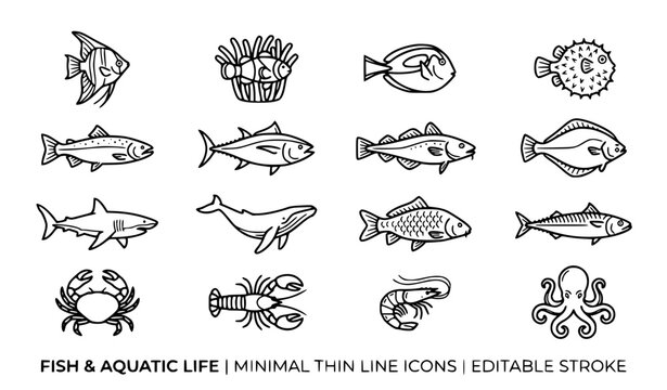 Fish icon set aquatic sea animals vector illustration isolated on white