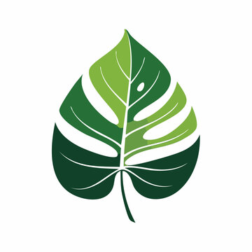 Stylized Monstera Leaf Illustration
