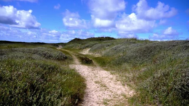 Narrow Footpath Winding Through Rolling Coastal Dunes in Nationalpark Thy
