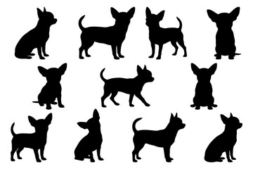Fototapeta premium Silhouettes of chihuahua dogs in various poses.