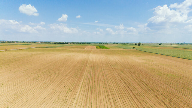 Aerial view of vast agricultural fields with visible furrows under a bright blue sky with white clouds in Novi Sad, Vojvodina, Serbia.