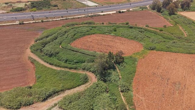 Aerial view of circular grove of dense vegetation surrounded by plowed fields and busy highway in Hod Hasharon, Israel
