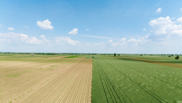 Aerial view of vast agricultural fields with green crops and plowed soil under a clear blue sky in Novi Sad, Vojvodina, Serbia.