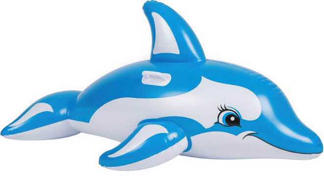 Blue and white inflatable dolphin toy for swimming pool fun isolated on transparent background
