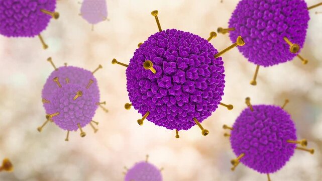 Adenovirus particles with characteristic surface spikes, rotating and drifting in space. 3D animation of non-enveloped icosahedral viruses associated with respiratory and ocular infections.