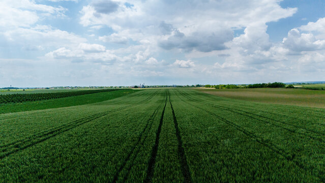 Aerial view of vast green agricultural fields with parallel tractor tracks under a cloudy sky in Novi Sad, Vojvodina, Serbia.