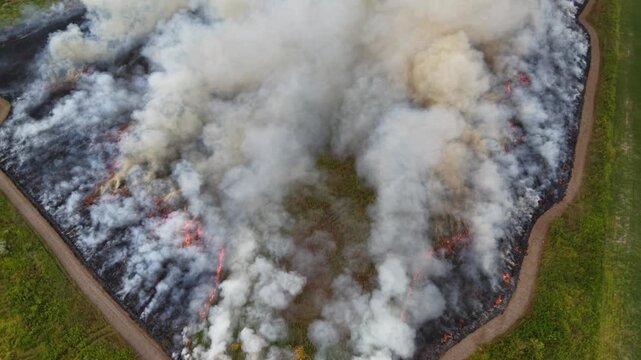 Prescribe burn of prairie grass Prairie Ridge State Natural Area Jasper Co. IL