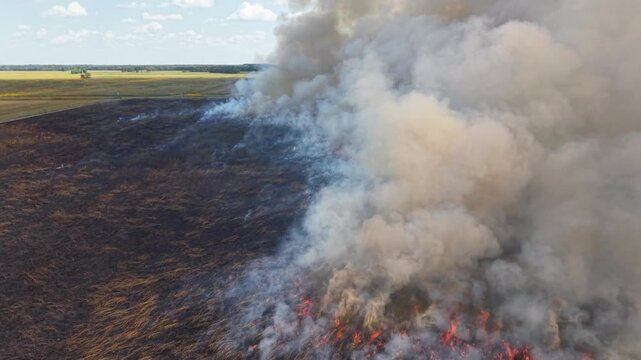 Prescribe burn of prairie grass Prairie Ridge State Natural Area Jasper Co. IL