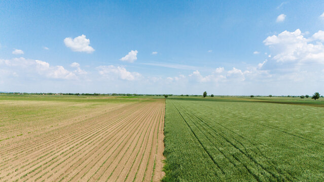 Aerial view of vast agricultural fields with green crops and plowed soil under a blue sky with white clouds Novi Sad, Vojvodina, Serbia.