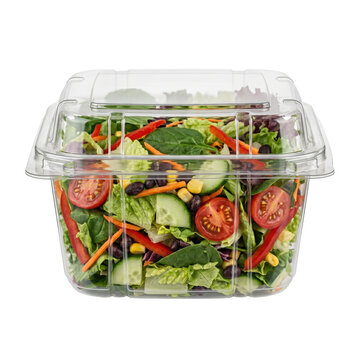 Fresh garden salad in clear plastic container mockup