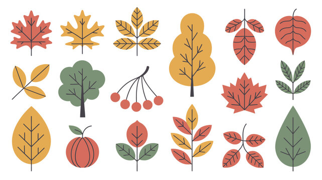 Autumn leaves and trees illustration on a white background fall foliage maple leaf oak birch tree branch branches berries red orange