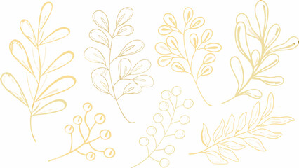 Golden botanical illustration featuring various leaf and berry sprigs rendered in a delicate line art style floral leaves foliage plant drawing © MINA