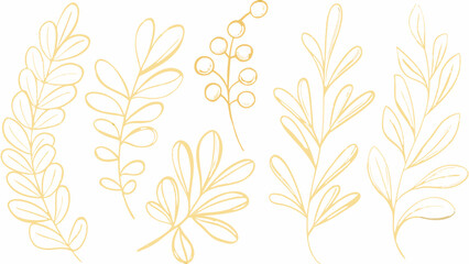 Golden botanical line art illustration featuring various leaf and berry sprigs against a white background arrangement floral ornament leaves drawing plant © MINA