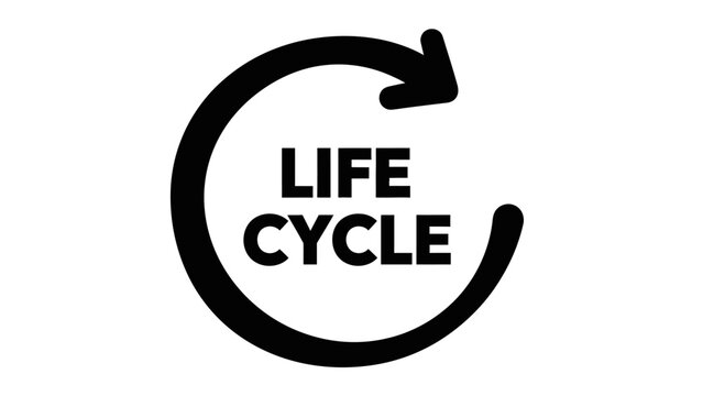 Life Cycle Icon with Circular Arrow Design