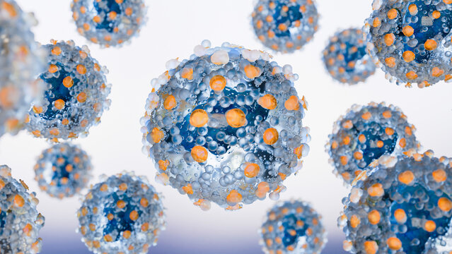 hantavirus Cells, 3D Animation of hantavirus ,virus, Medical Concept, hantavirus cardiopulmonary syndrome (HCPS), haemorrhagic fever with renal syndrome (HFRS), virus outbreak