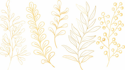 Gold botanical line art image featuring delicate leaf and stem illustrations on a white background leaves foliage flora plant branch illustration © Riya