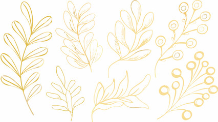 Golden botanical illustration featuring various leaf and berry branch designs in a delicate line art style leaves foliage flora plant stem © Riya
