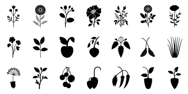 Leaves and herbs set of simple black botanical icons for garden, nature, and typography design projects