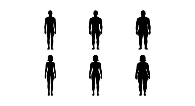 Human Body Silhouettes, Male and Female Figures, Weight Variation, Vector Icons