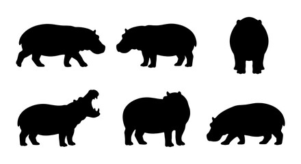 Hippopotamus Silhouettes: African Wildlife Vector Icons, Animal Poses, Black & White © KALA