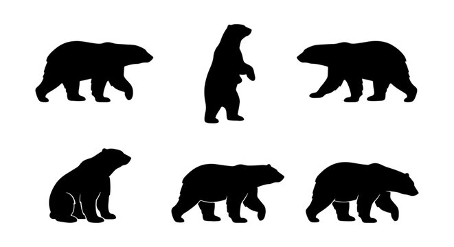 Polar Bear Silhouettes, Arctic Wildlife Icons, Ursus Maritimus Vector Set