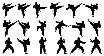Martial arts silhouettes depicting various kicking and fighting poses black on white © Urmi512
