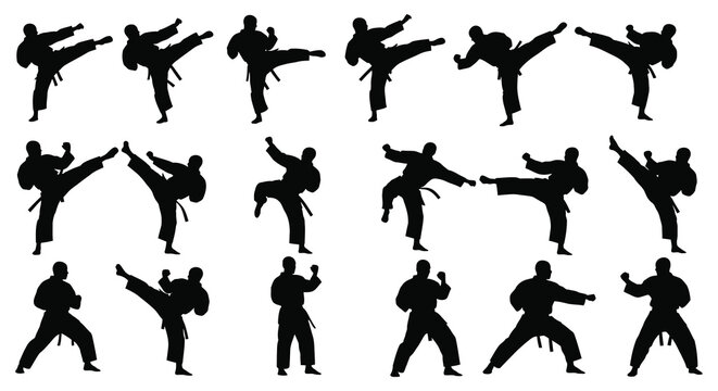 Martial arts silhouettes depicting various kicking and fighting poses black on white
