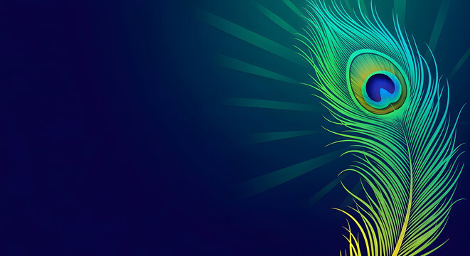 Vibrant peacock feather with iridescent eyespots on dark blue background