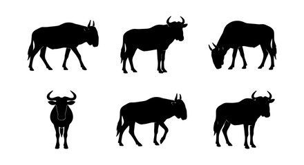 Wildebeest Silhouettes: Six Vector Poses, African Wildlife Icons, Safari Animal Graphics © Shahajan