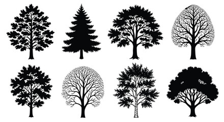 Tree silhouettes collection black vector graphics on a white background © Urmi512