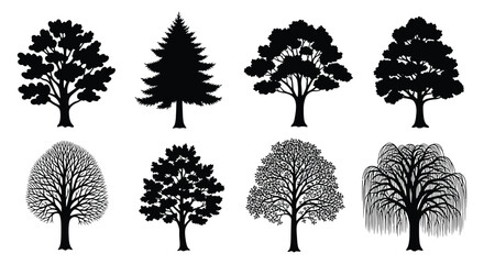 Collection Of Tree Silhouettes On A White Background © Urmi512