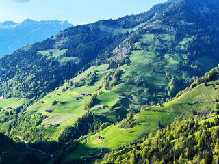 Alpine meadows and pastures on the slopes of the Uri Alps mountain massif and in the alpine valley Melchtal - Canton of Obwalden, Switzerland (Kanton Obwald, Schweiz) © Mario