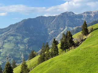 Alpine meadows and pastures on the slopes of the Uri Alps mountain massif and in the alpine valley Melchtal - Canton of Obwalden, Switzerland (Kanton Obwald, Schweiz) © Mario
