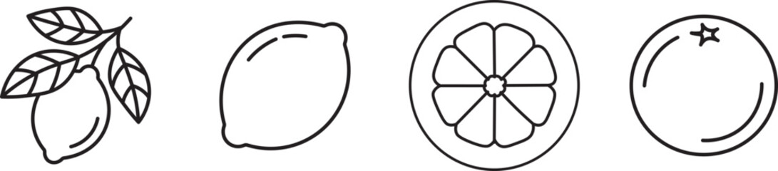 Fototapeta premium Collection of citrus fruits icons .Citrus Garnishes Icons. Outline icon set