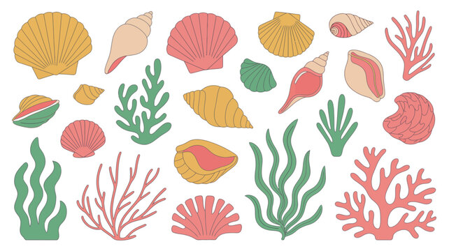 Colorful seashell and coral illustration with marine plants on a white background seashells life ocean sea shell scallop conch gastropod bivalve