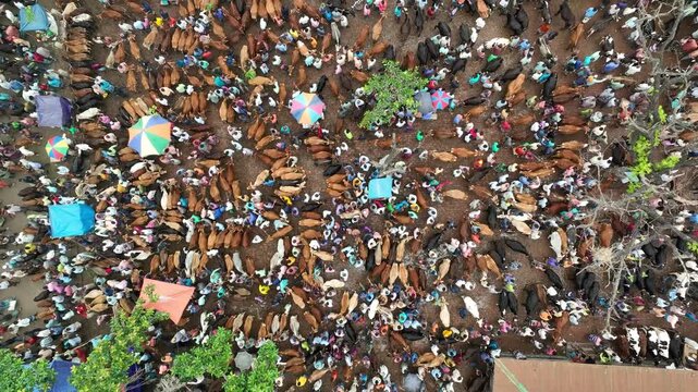 Aerial top down view of a crowded traditional livestock market