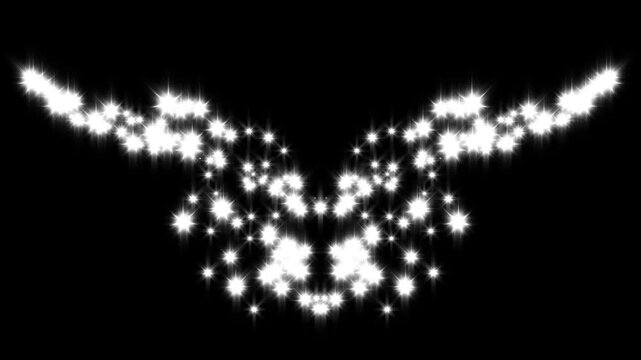 Fast glittering star lines, fairy dust wand shimmer transition on black screen, sparkling starry line effects for motion design video, 4k magic glitter sparkle trail, white twinkling star.