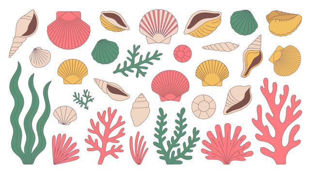 Collection of seashells coral and seaweed in a colorful vector illustration shell marine life ocean sea algae underwater graphic design flat