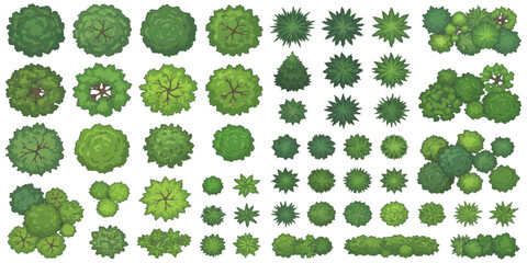 Top view green trees and bushes landscape elements flat design © GraphixEra