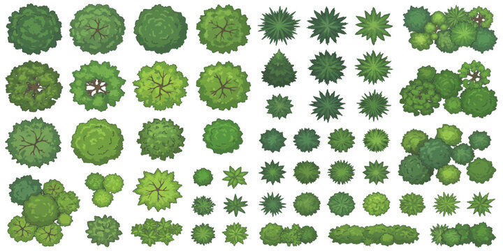 Top view green trees and bushes landscape elements flat design